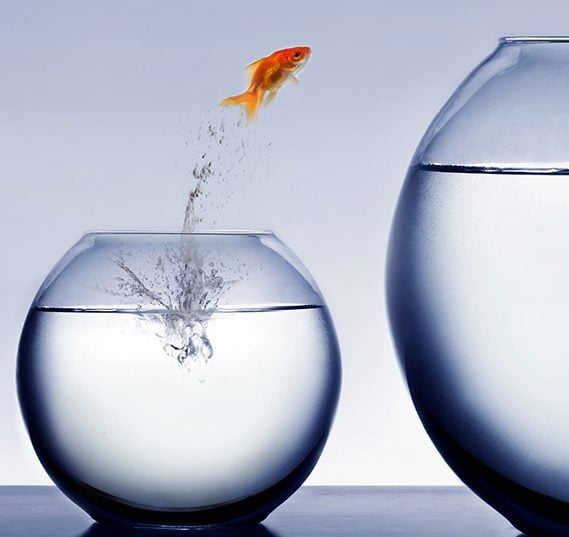 Header image 2